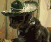 An7Sv.gif image by irab88